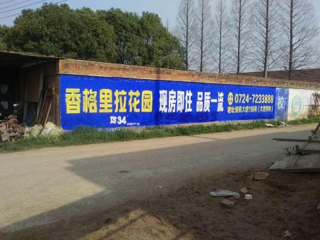 凭祥县墙体广告对比传统广告媒介的优势在哪里