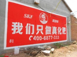 凭祥县刷墙广告”蕴含了时代命题