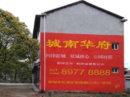 凭祥县百分之90的人都不了解的农村墙体广告
