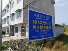 凭祥县墙体广告质量分析