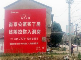 凭祥县墙体广告在乡镇、农村市场的媒体优势