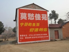 凭祥县如何合理的选择户外广告投放