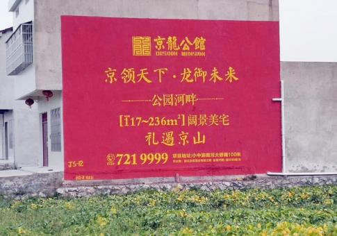 凭祥县墙体广告发布的关键问题
