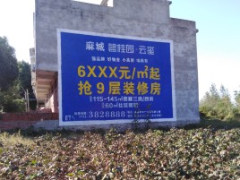 凭祥县墙体广告的好处