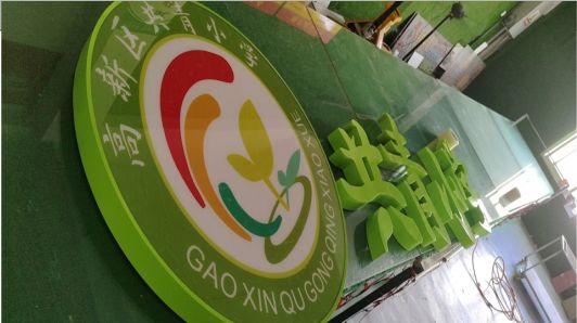 凭祥县常见的发光字类型