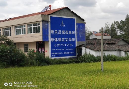 凭祥县决定墙体广告价格的因素有哪些?