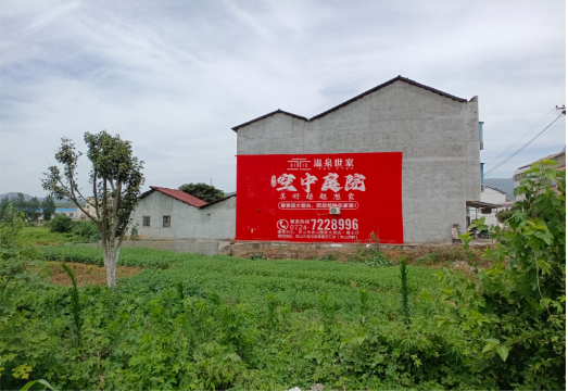 凭祥县做墙体广告的意义